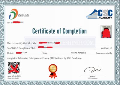 After passing the Telecentre Entrepreneur Courses TEC check the interface of the certificate.