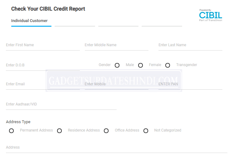 CSC Check Your CIBIL Credit Report in just 2 minutes online form