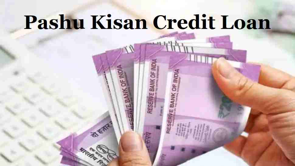 Pashu Kisan Credit Loan Scheme 
